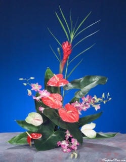Menehune Mix - Fresh Hawaiian Tropical Flowers
